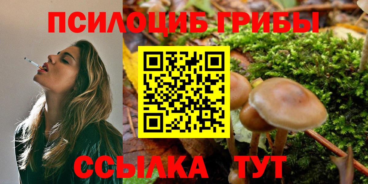 Псилоцибиновые грибы Cubensis  Вход с VPN  Галлюциногенные грибы Magic Shrooms  Юрга 