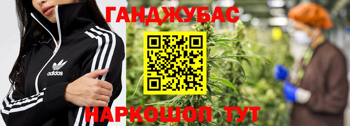 Шишки марихуана планчик  Канабис White Widow  МАРИХУАНА тримм  Юрга  Канабис сатива  Вход с VPN 